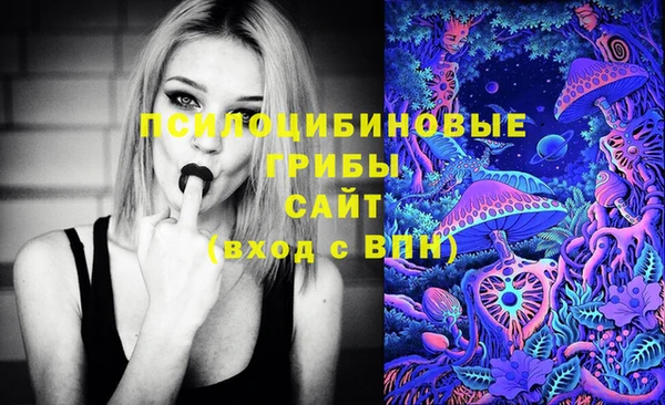 гидропоника Арсеньев