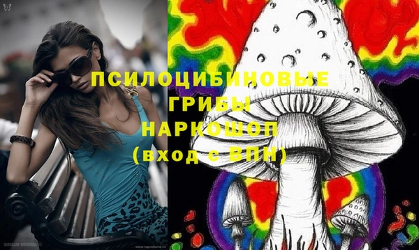 прущие грибы Магадан