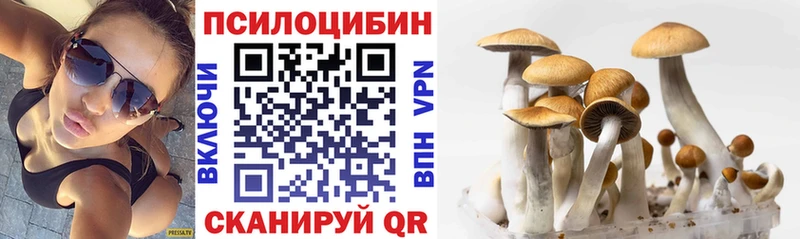 где купить наркоту  Истра  Галлюциногенные грибы мухоморы 