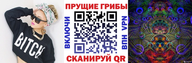 Псилоцибиновые грибы Psilocybe Истра